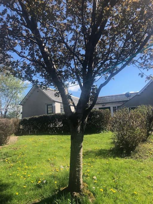 Turriff West Lodge 3 Bedrooms, Near Golf Course And River מראה חיצוני תמונה